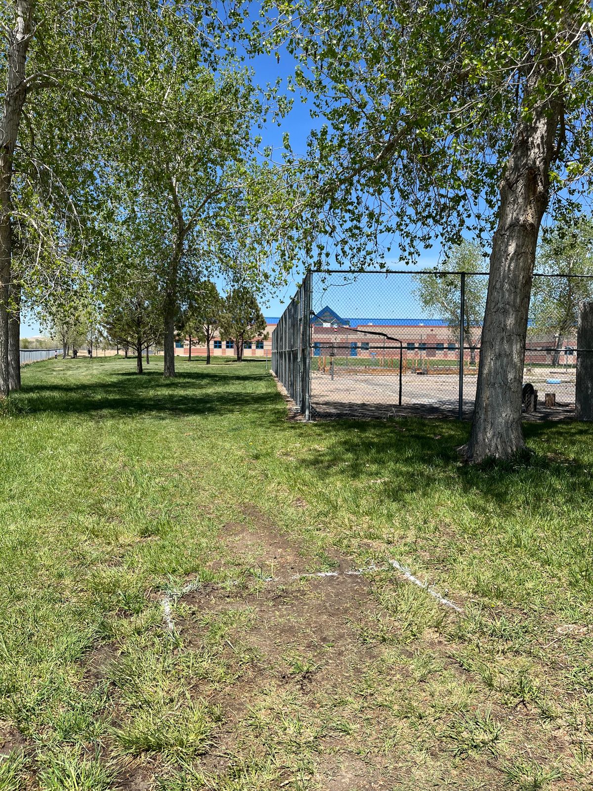 Hole 6