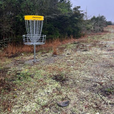 Hole 7 basket