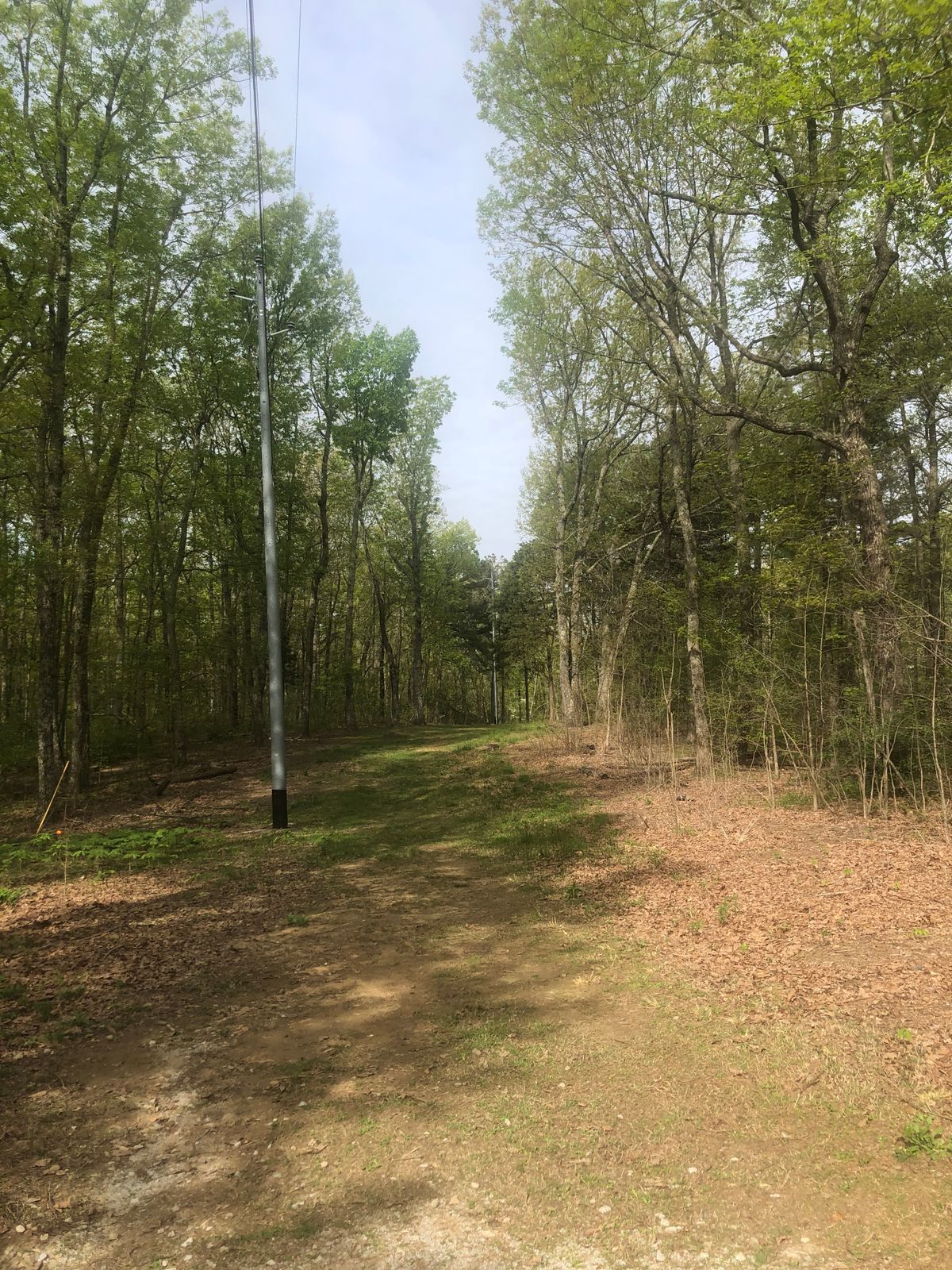 Hole 1