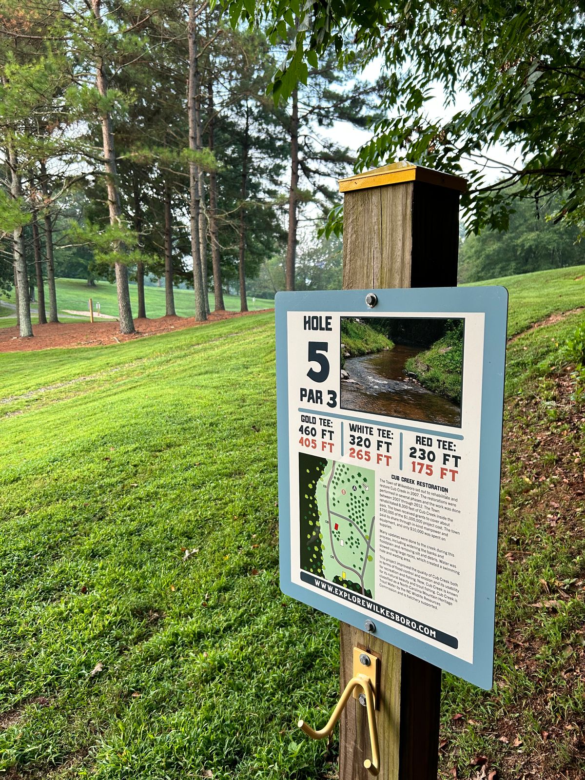 Hole 5 Gold Tee