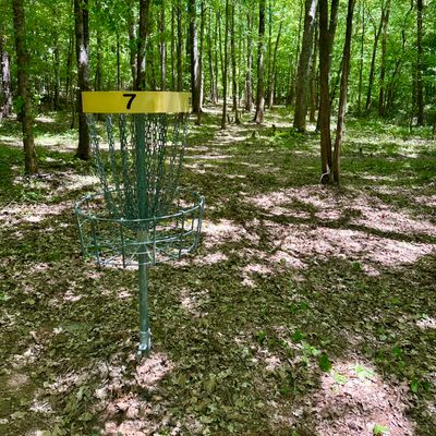 Hole 7 basket (looking back toward tee pad)