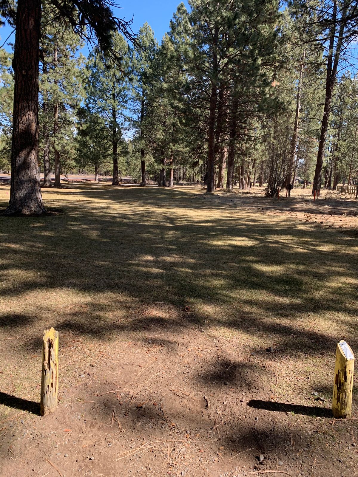 Tee for hole #2. While the tees are a bit lacking, the baskets are quality.