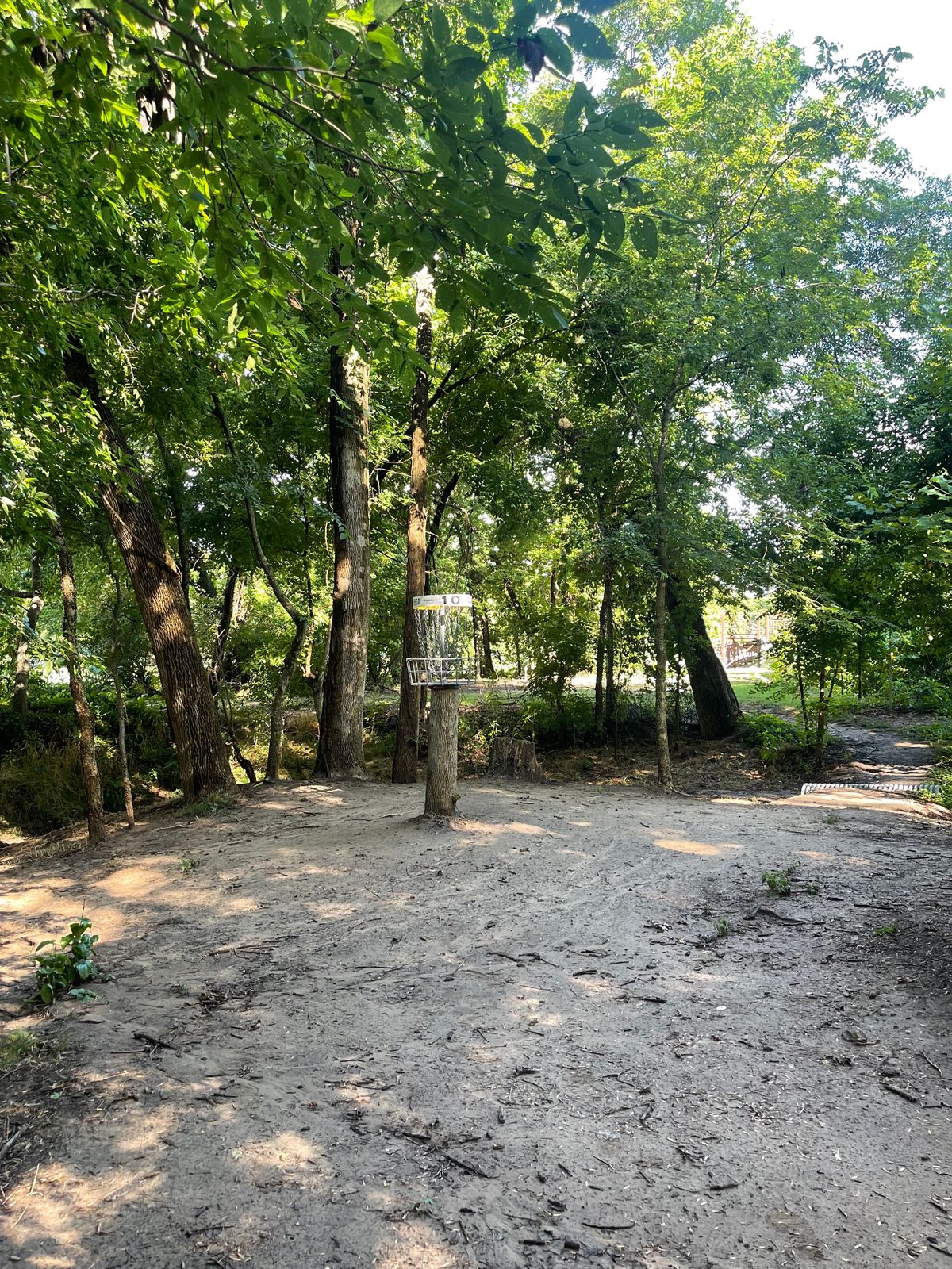 Hole 10 basket