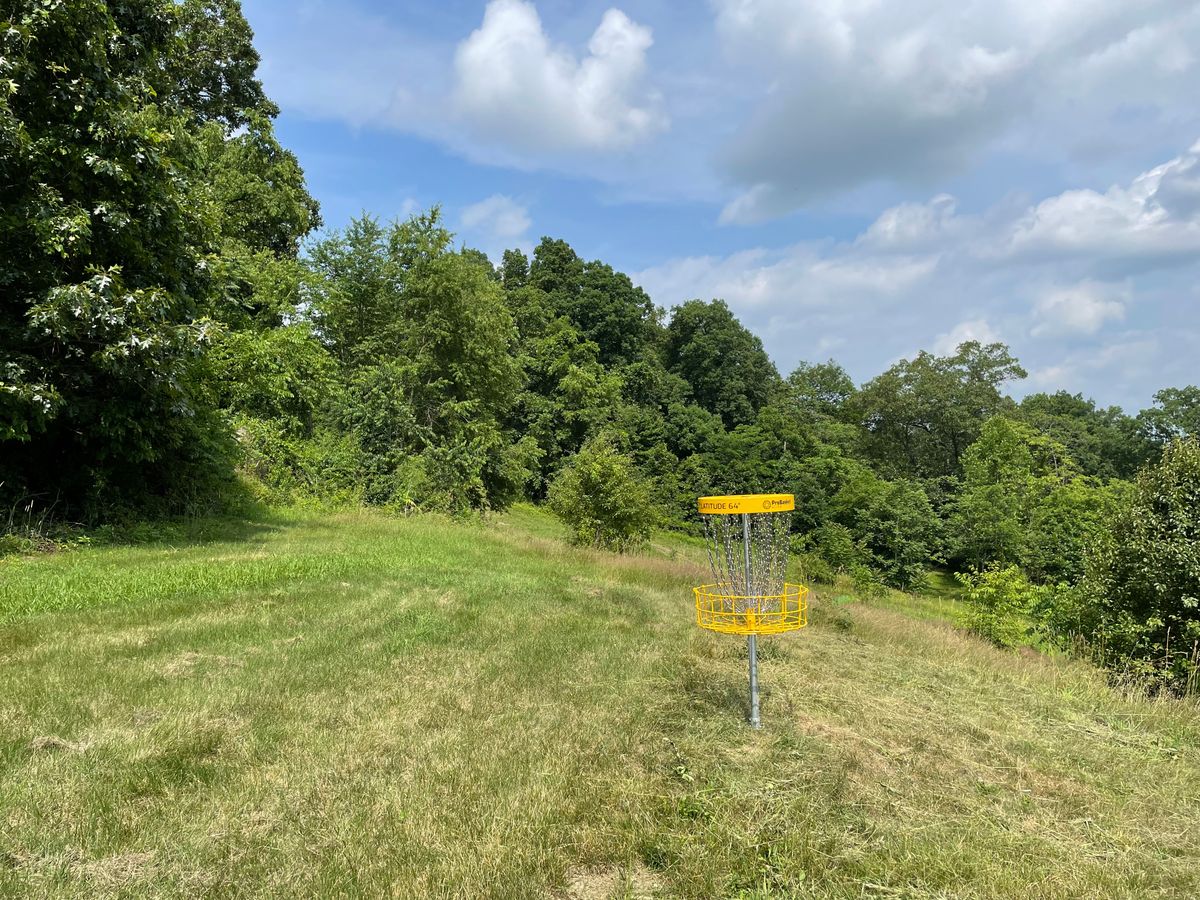 Behind basket, looking back at dogleg
