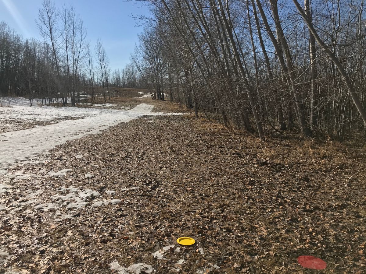 Hole 1 from the red tee box