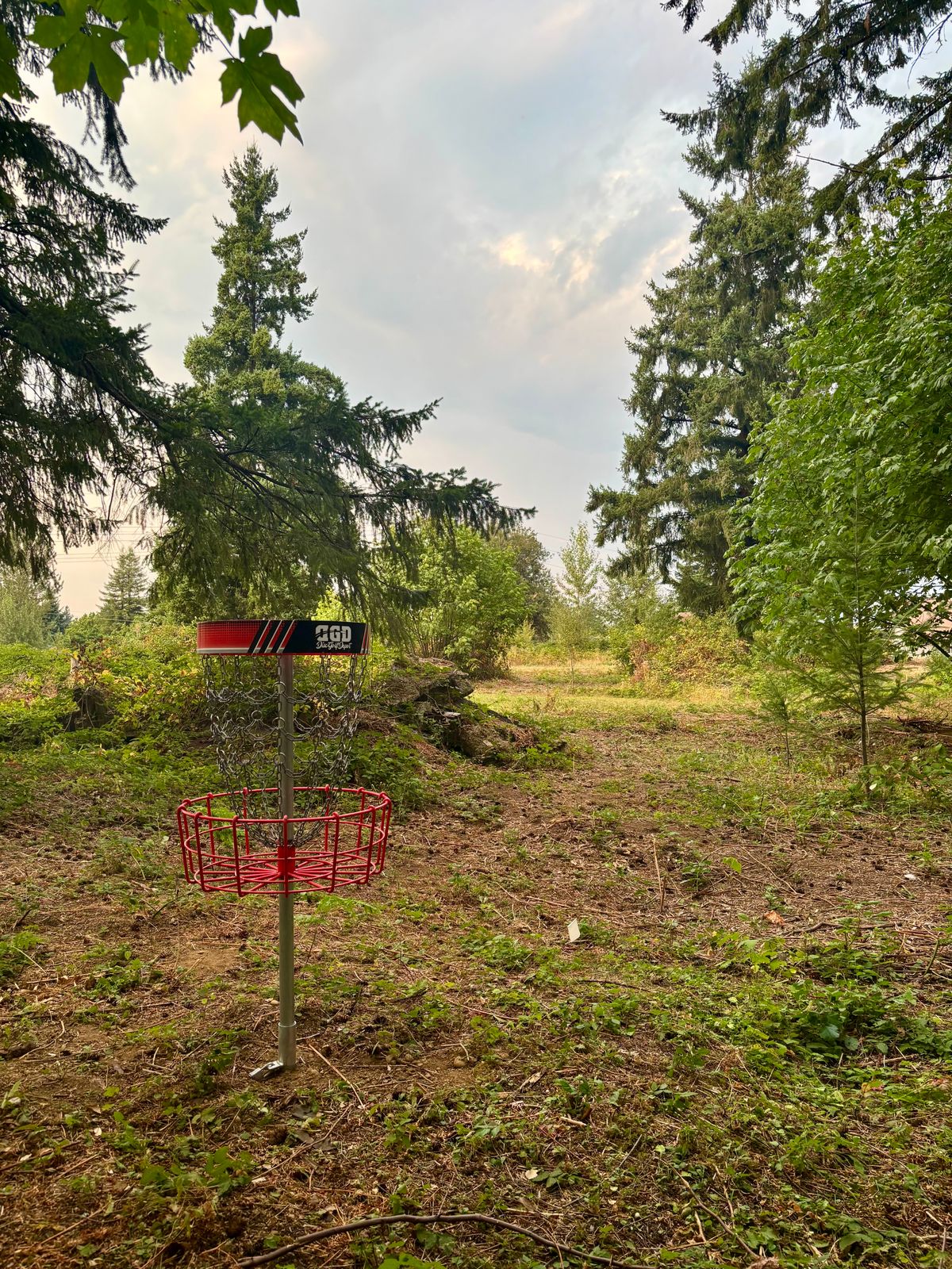 Hole 5 From Basket