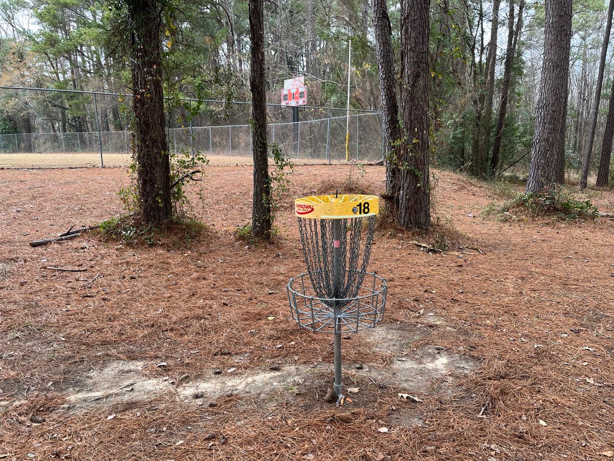 Hole 18 basket