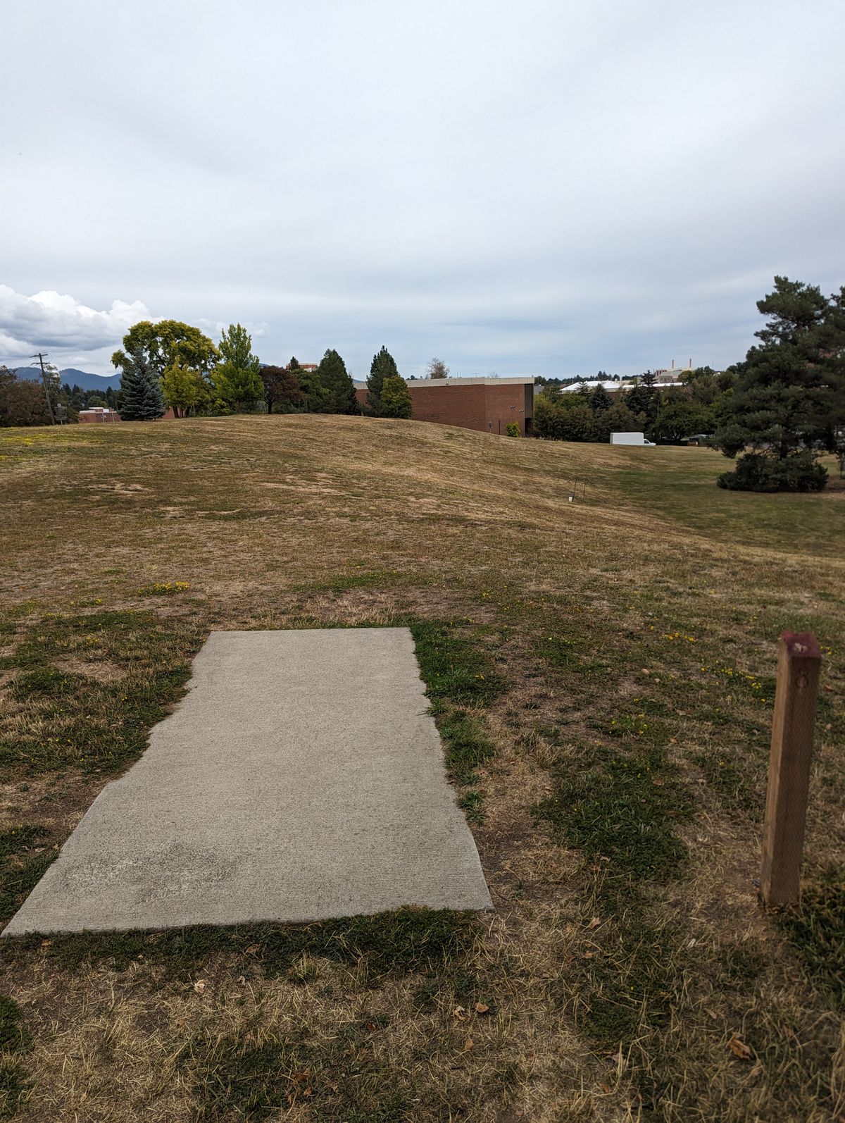 Tee pad #8