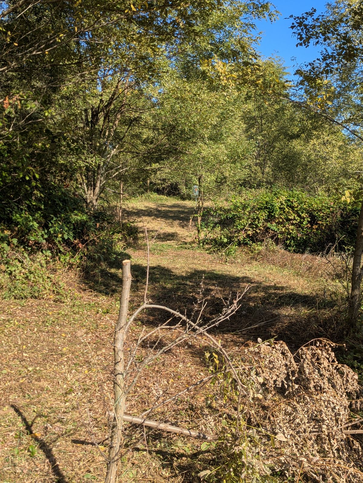 Hole 7