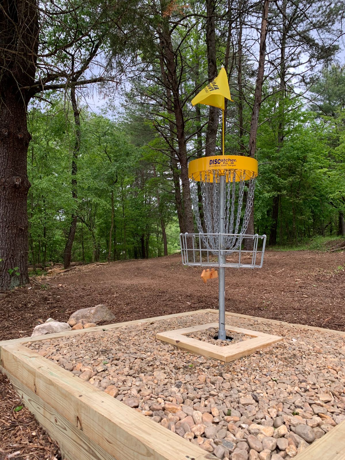 Basket Hole #17
