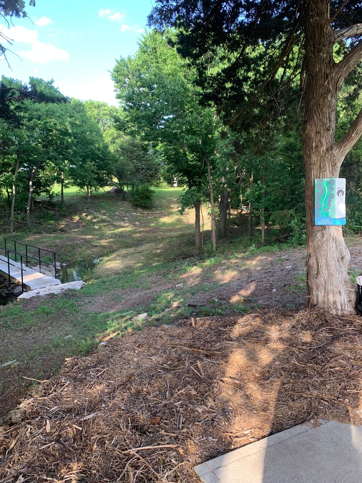 Course is looking better then ever!!!  Great job LCDGC!