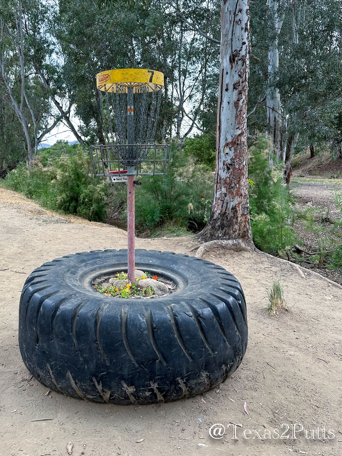 Hole 7