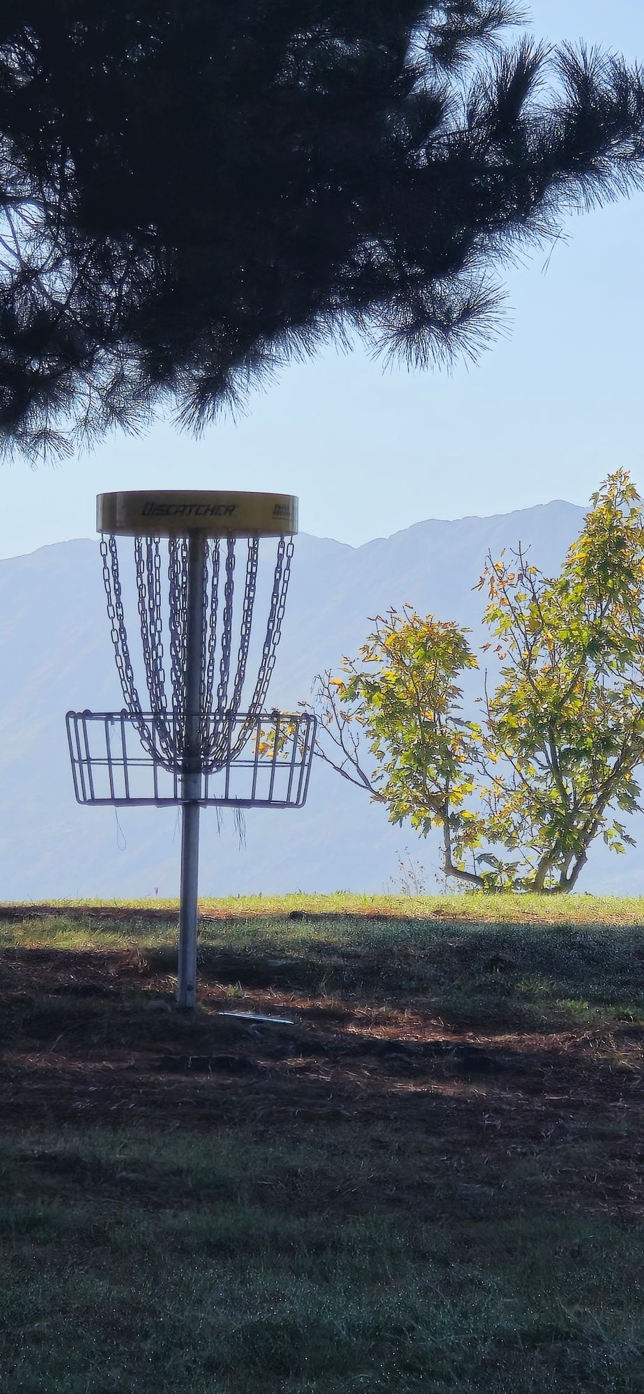 Basket Hole 2