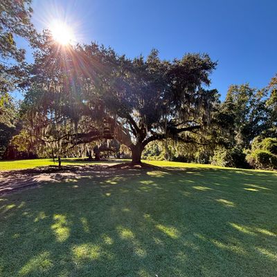 Scenic hole 16, basket under tree