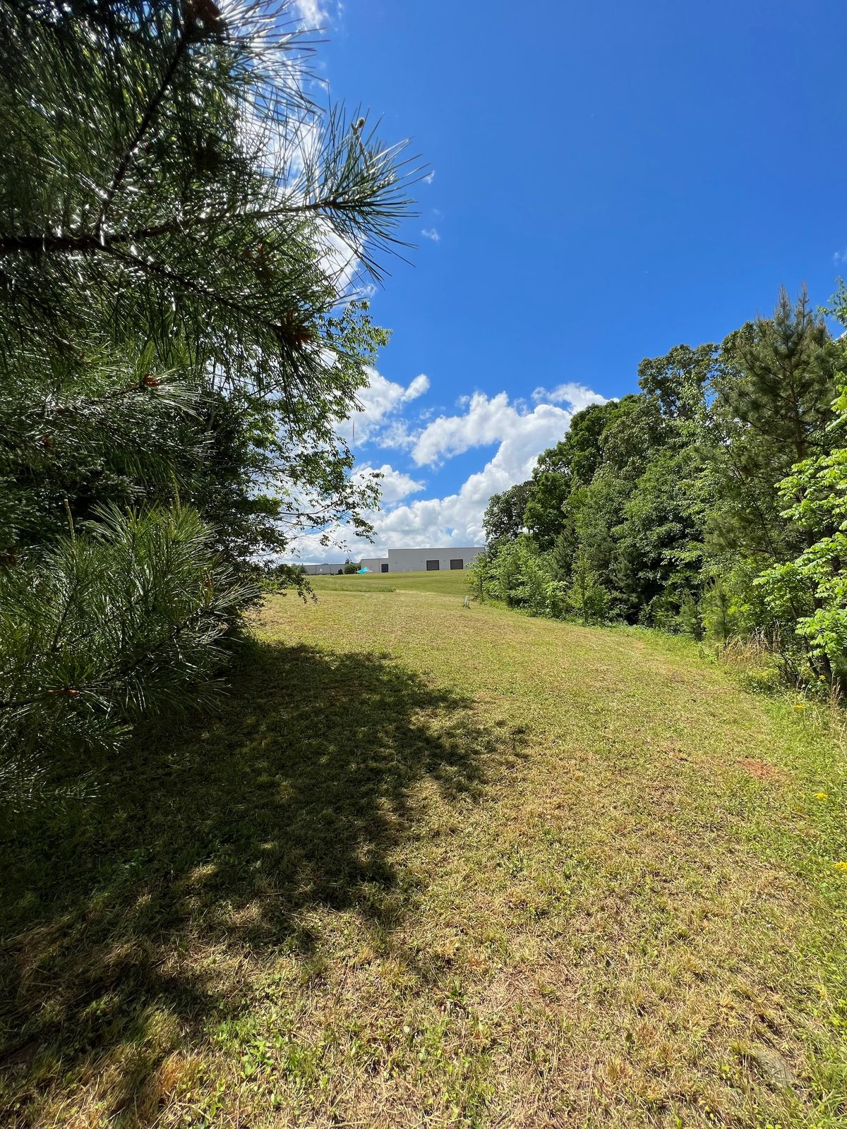 The lane at hole 16