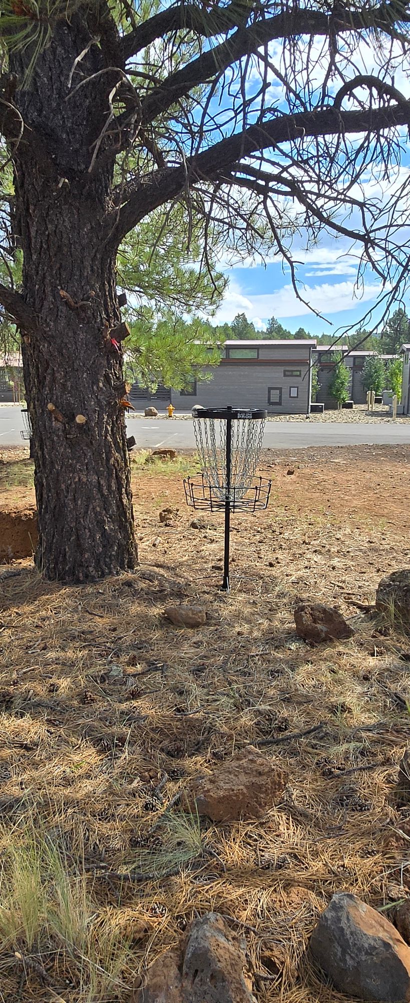 Hole 3