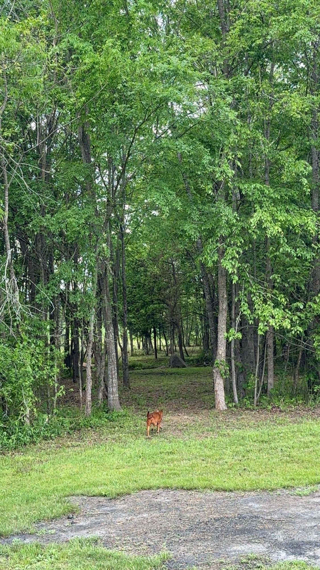 #2 fairway
