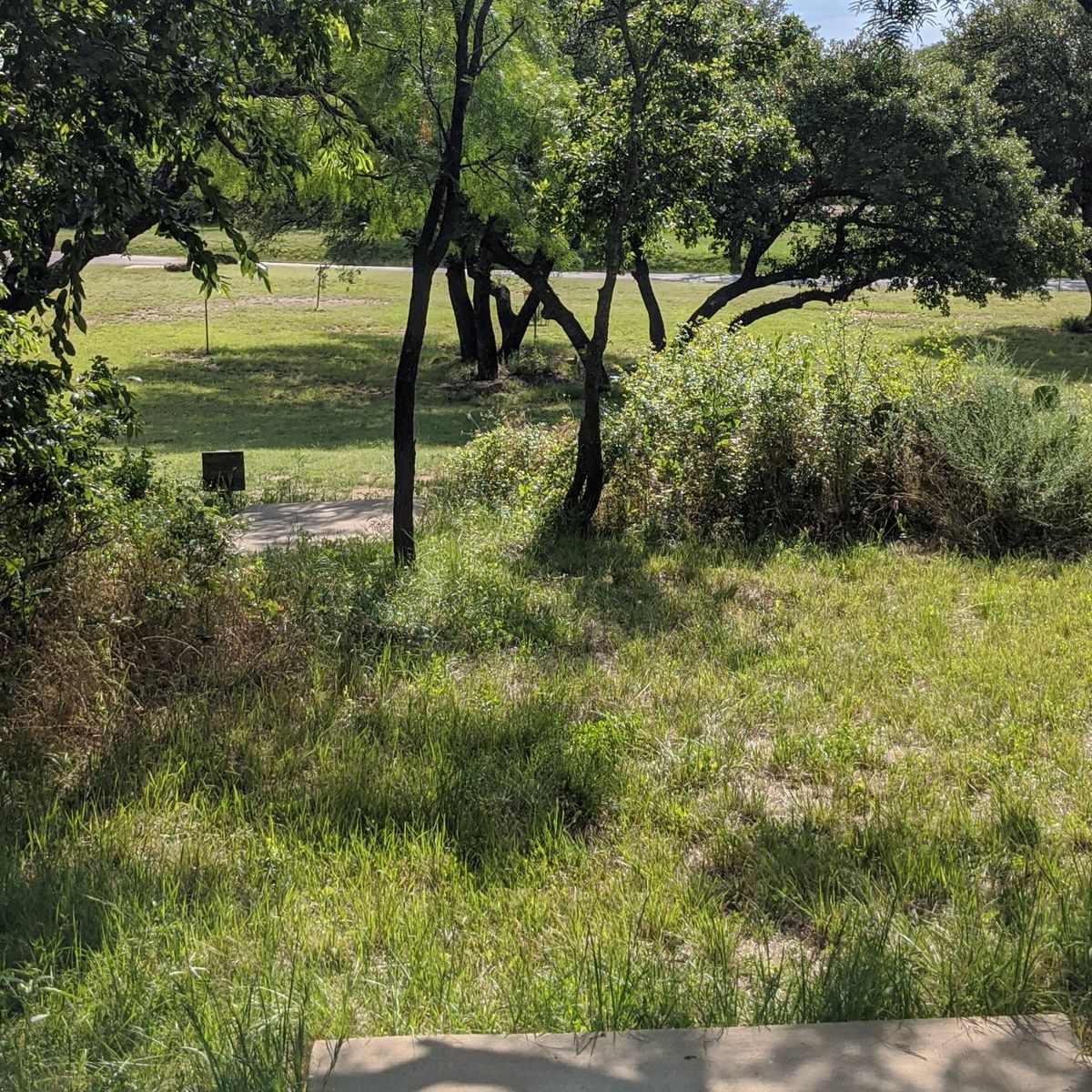 Hole 8 from tee to basket.
