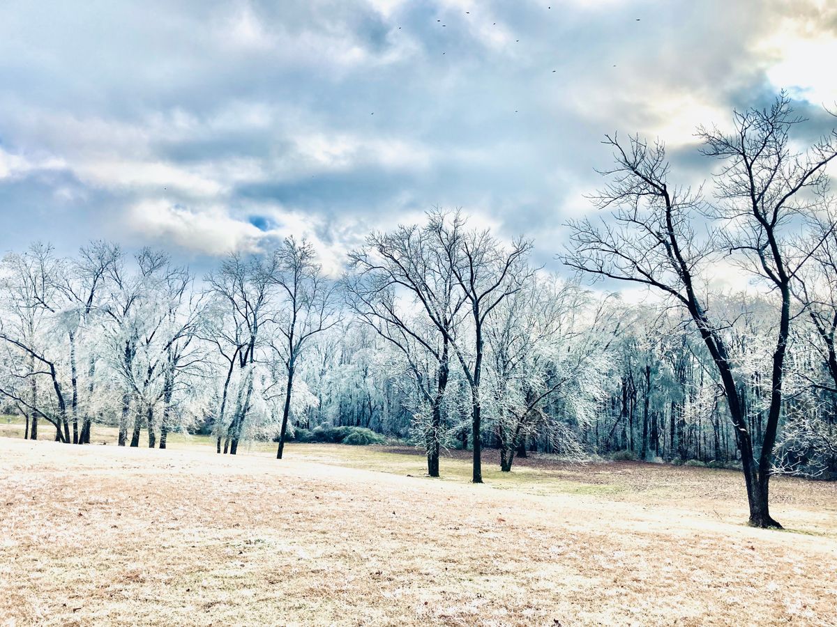 Ice storm February 2022 - Hole 1