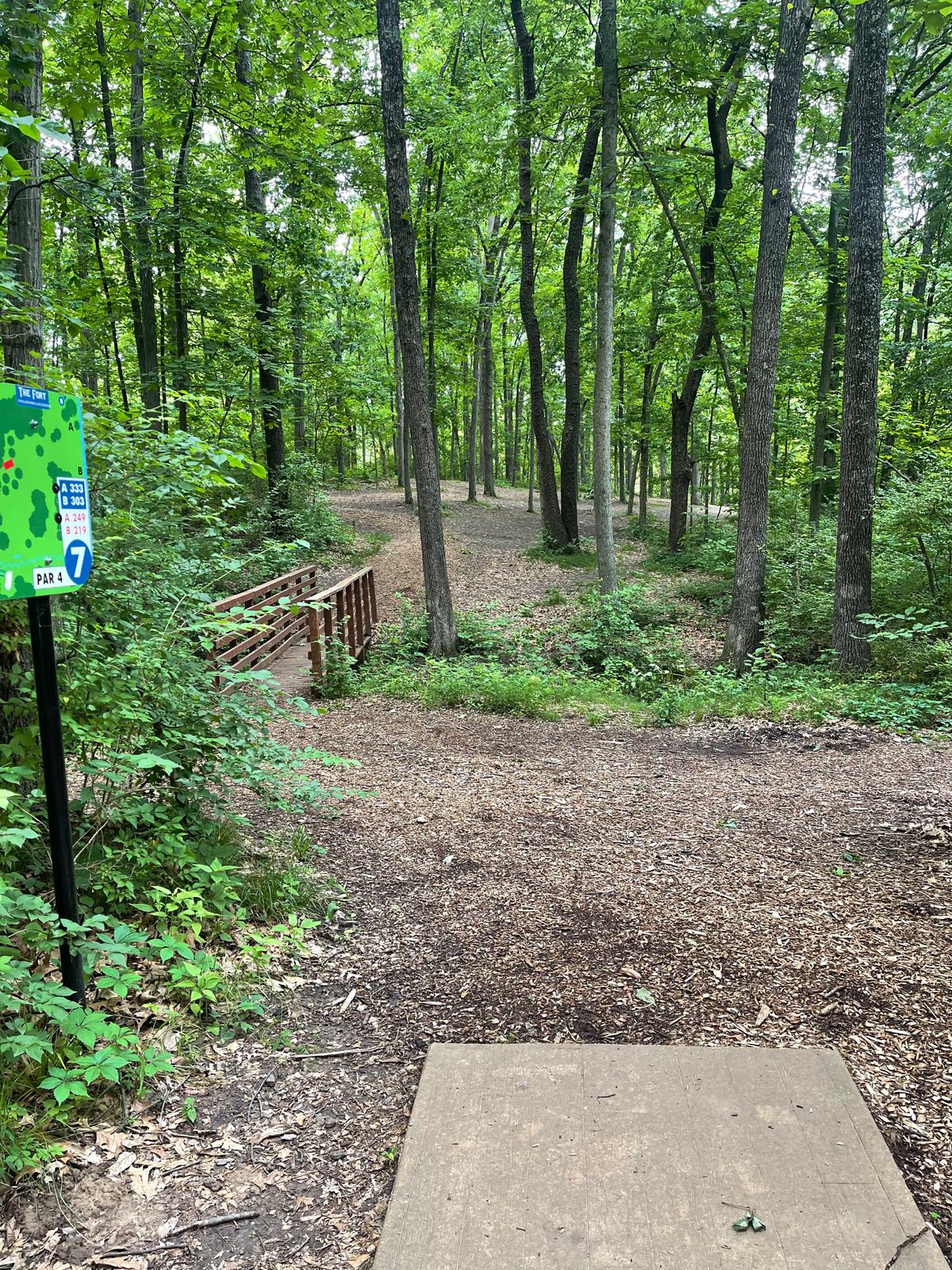 Hole 7 from back - first woods hole