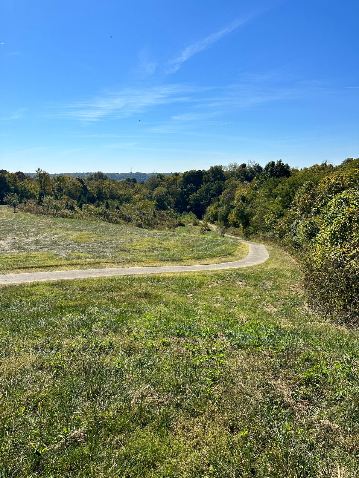 Hole 3 tee