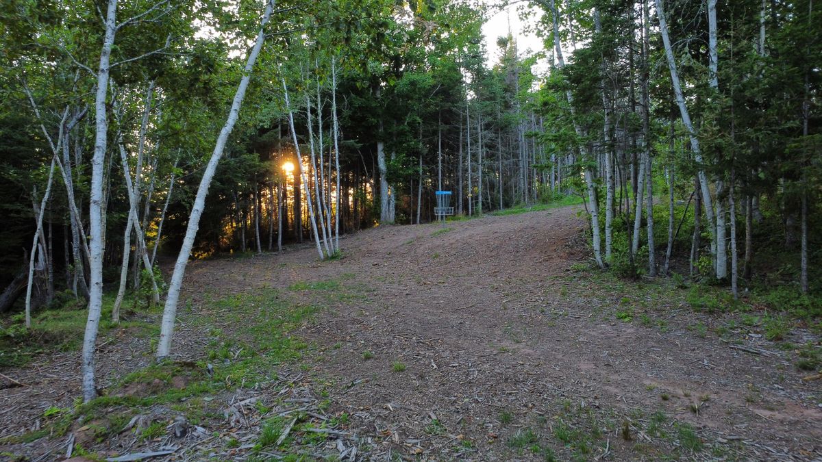 Hole 7 - green.