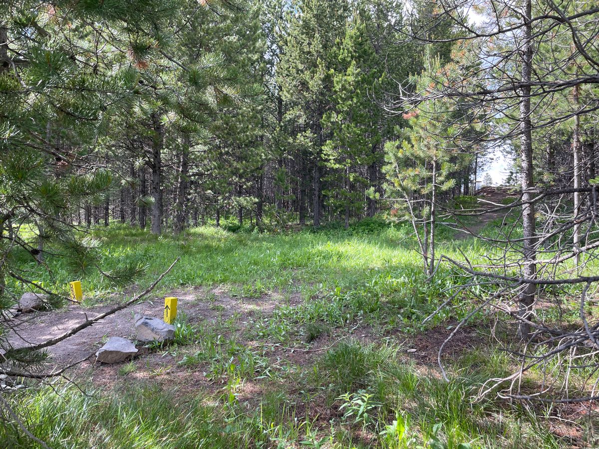 Hole 6