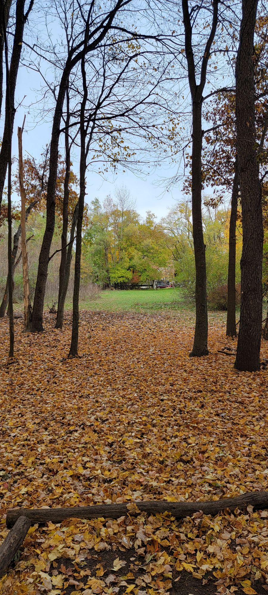 Hole 5
