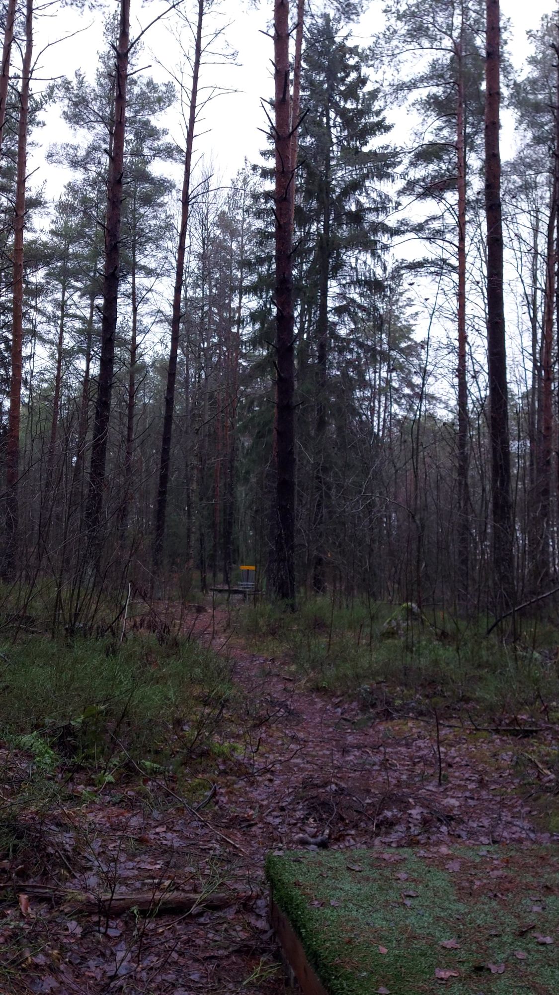 Väylä 4