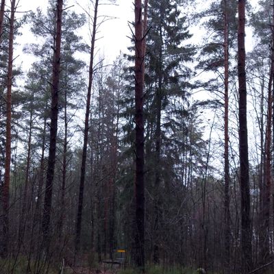 Väylä 4