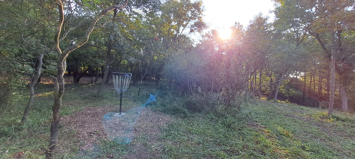12 A