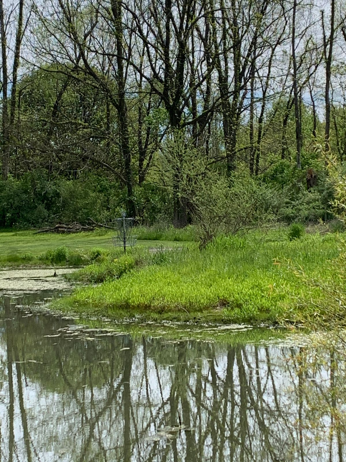 21 Island Hole