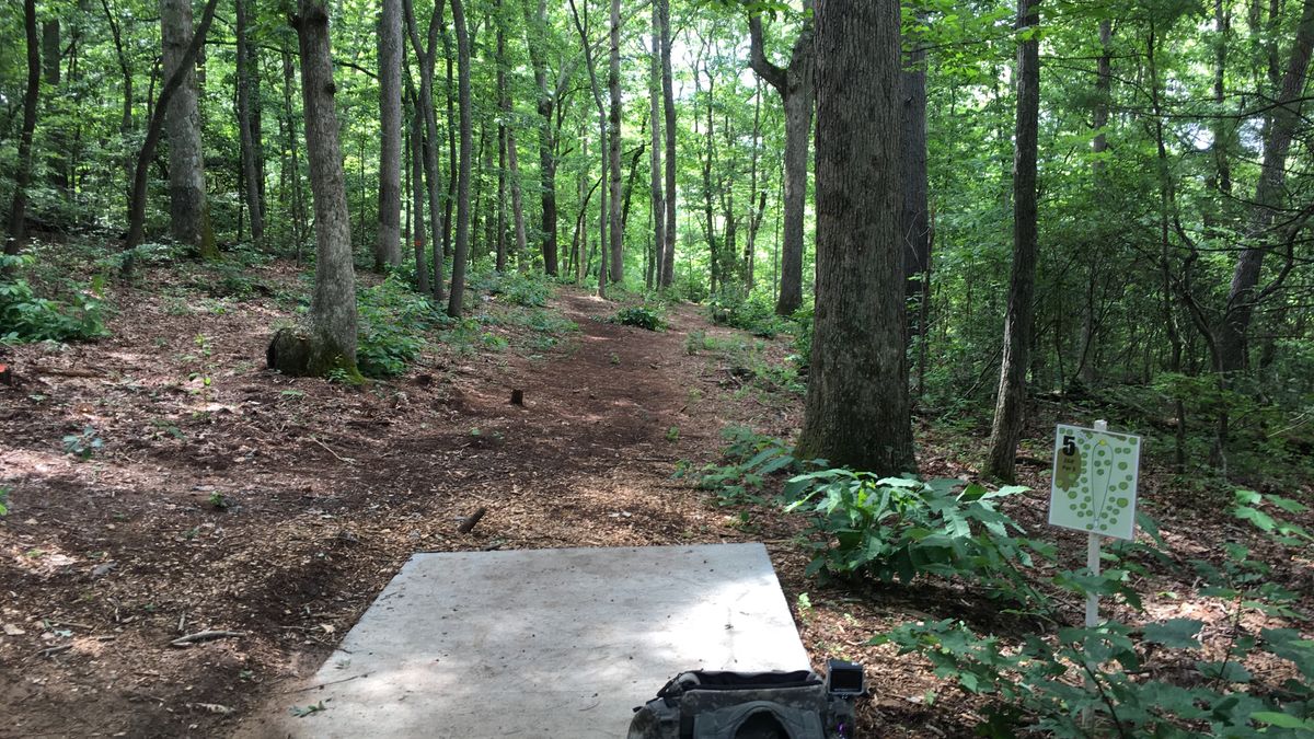 Hole 5