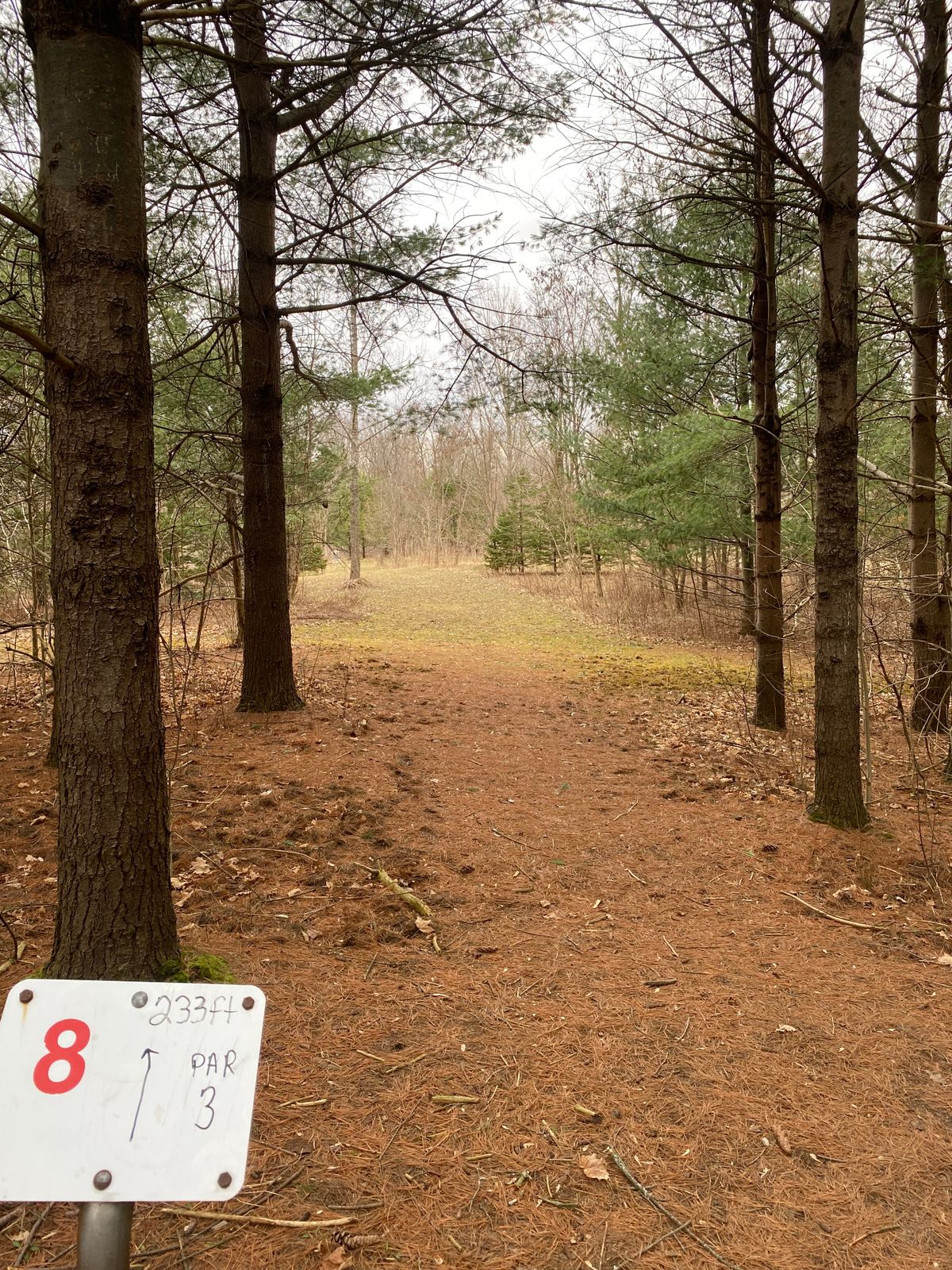 # 8 Red