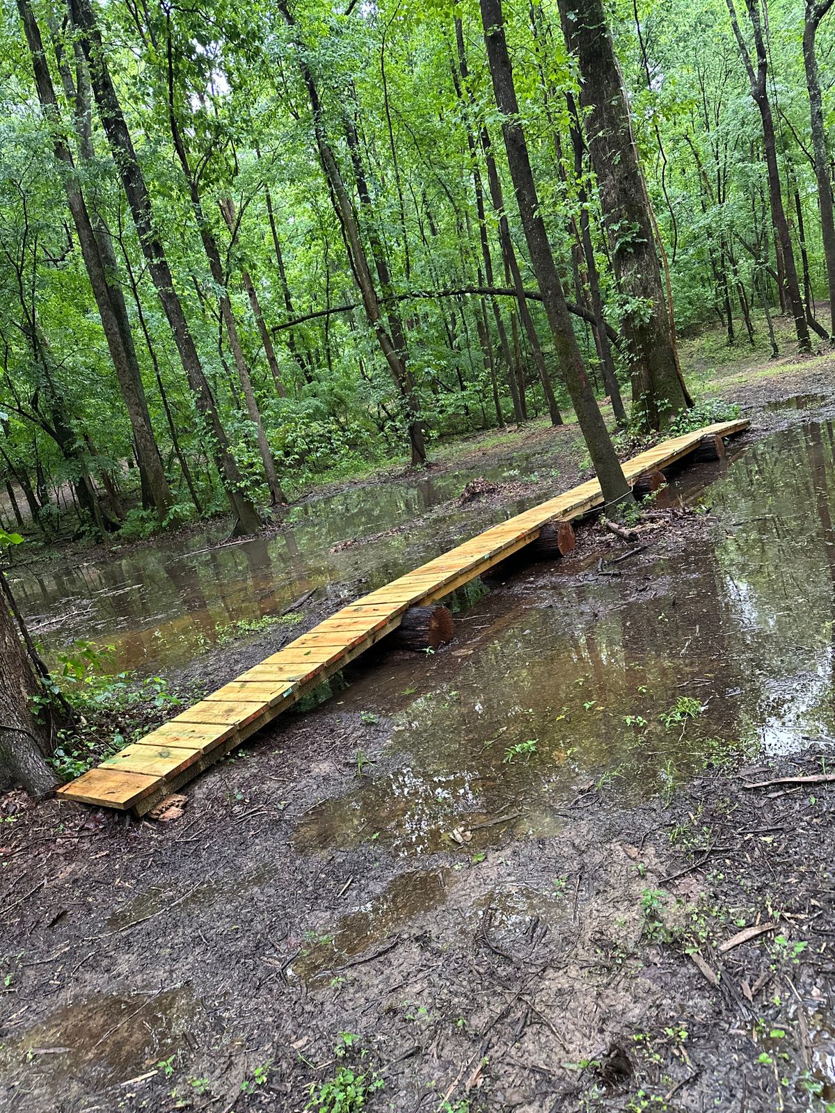 Bridge on hole 11.