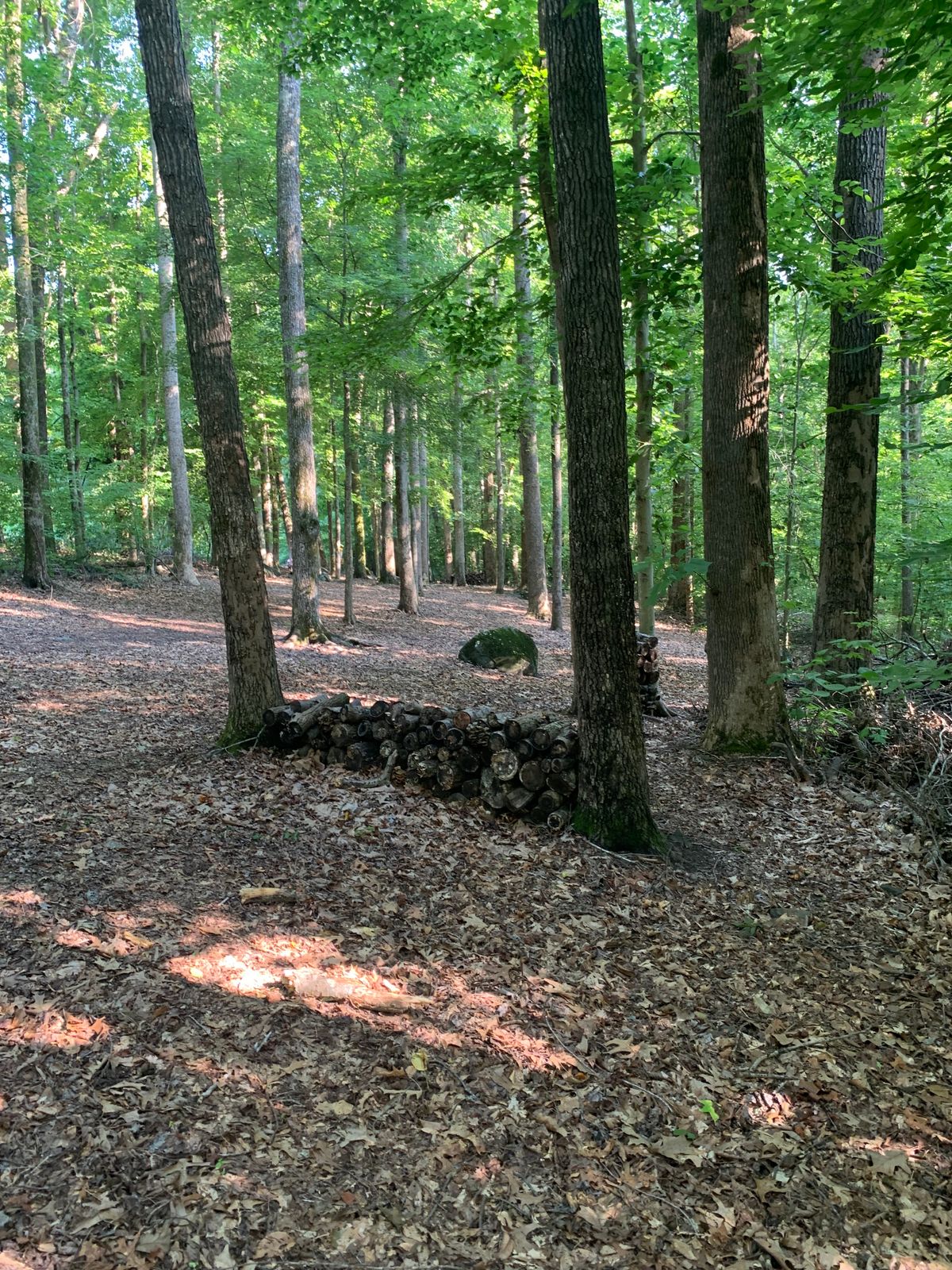 Hole 3 Landing Zone.