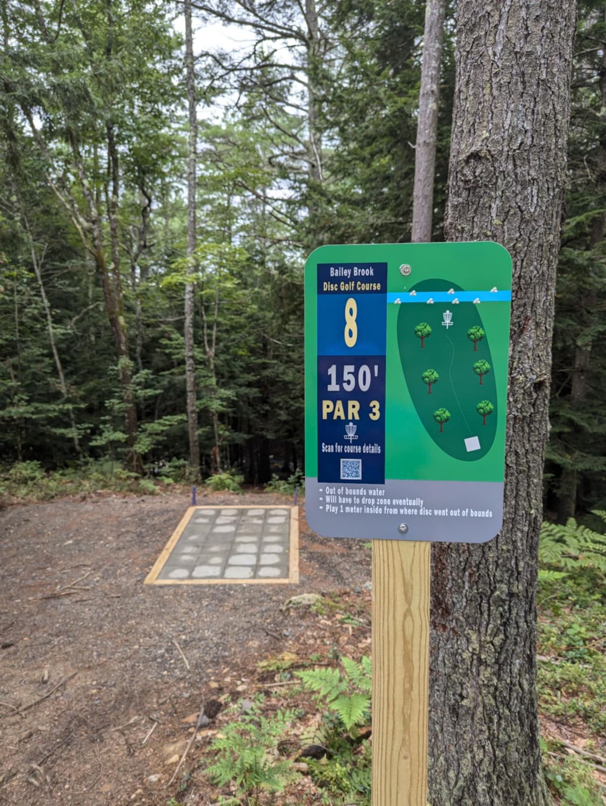 Hole 8