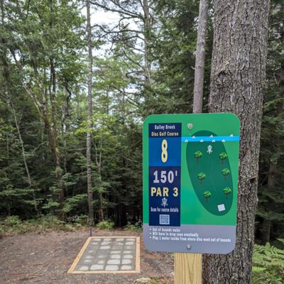 Hole 8