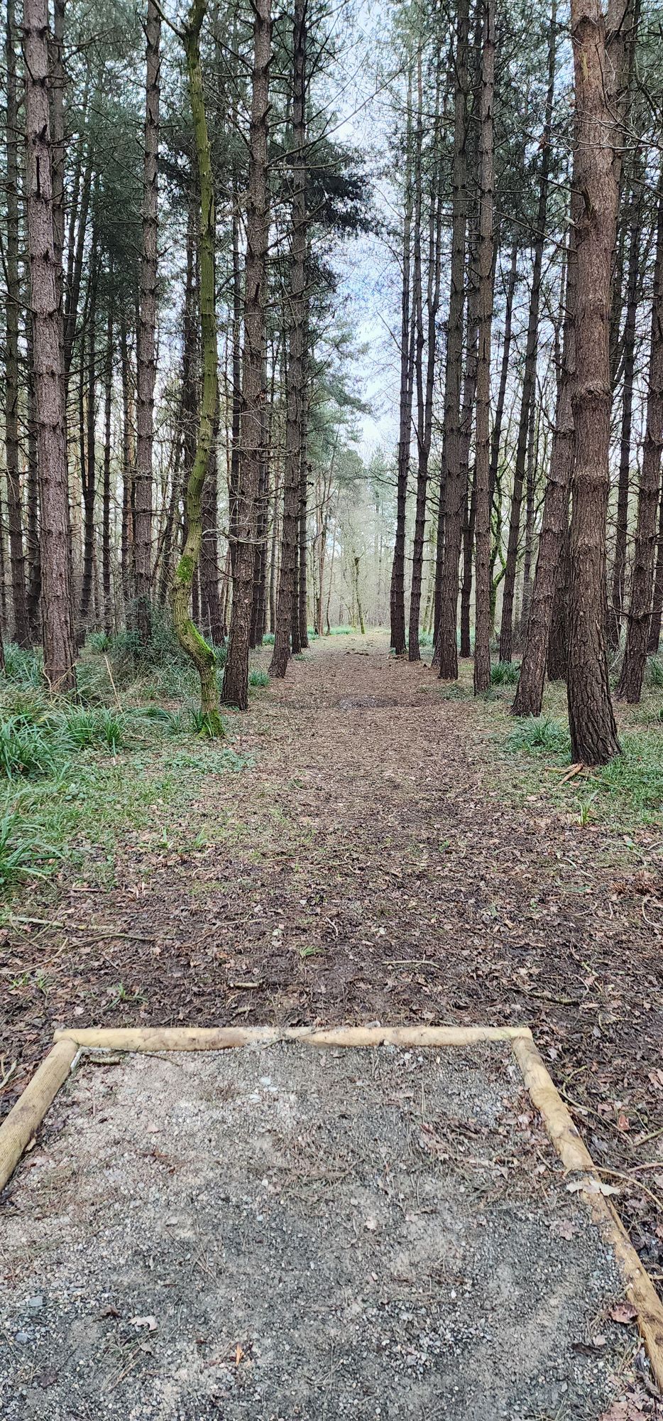 Hole #5 (Winter)