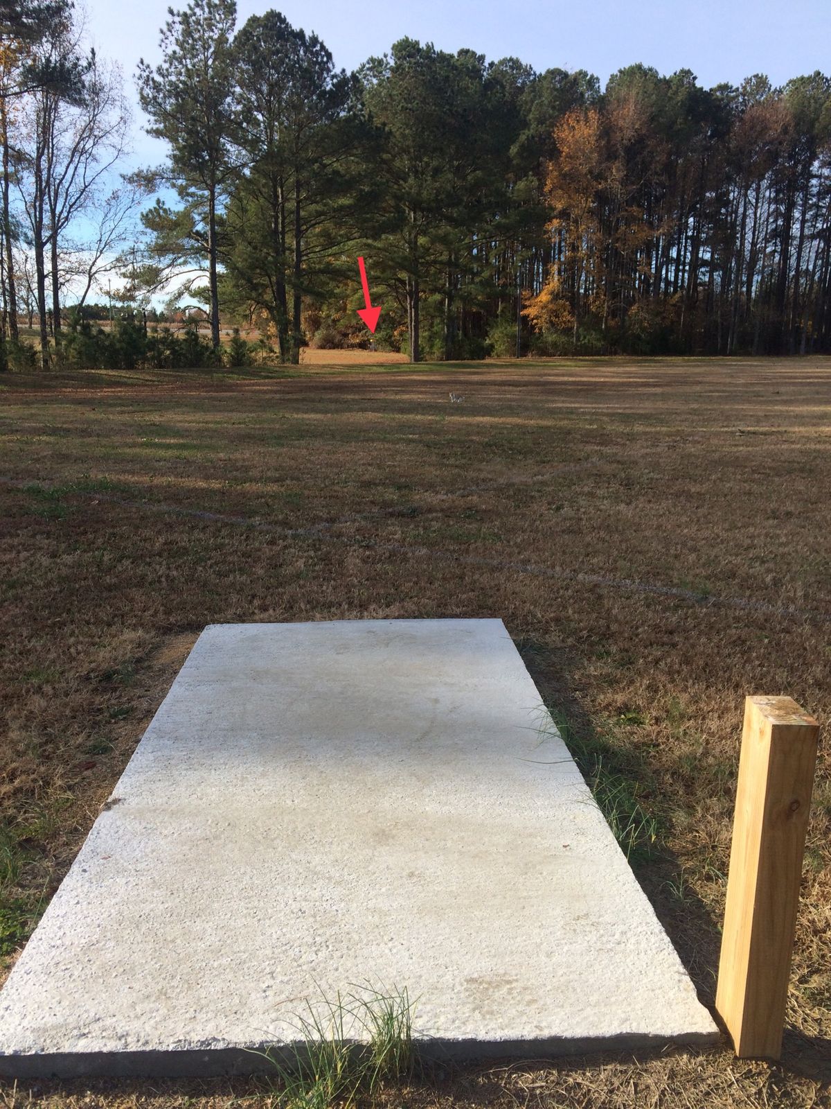 Hole #5 Tee