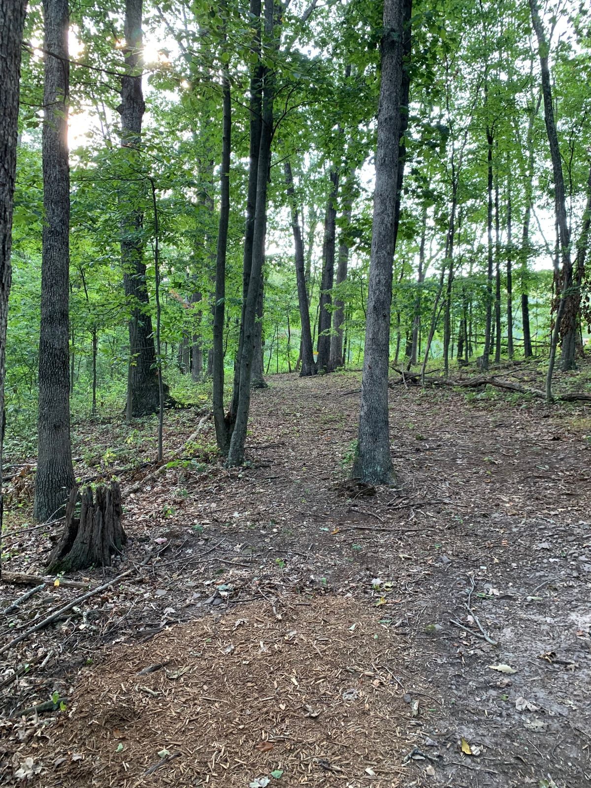 Hole 7 tee box.