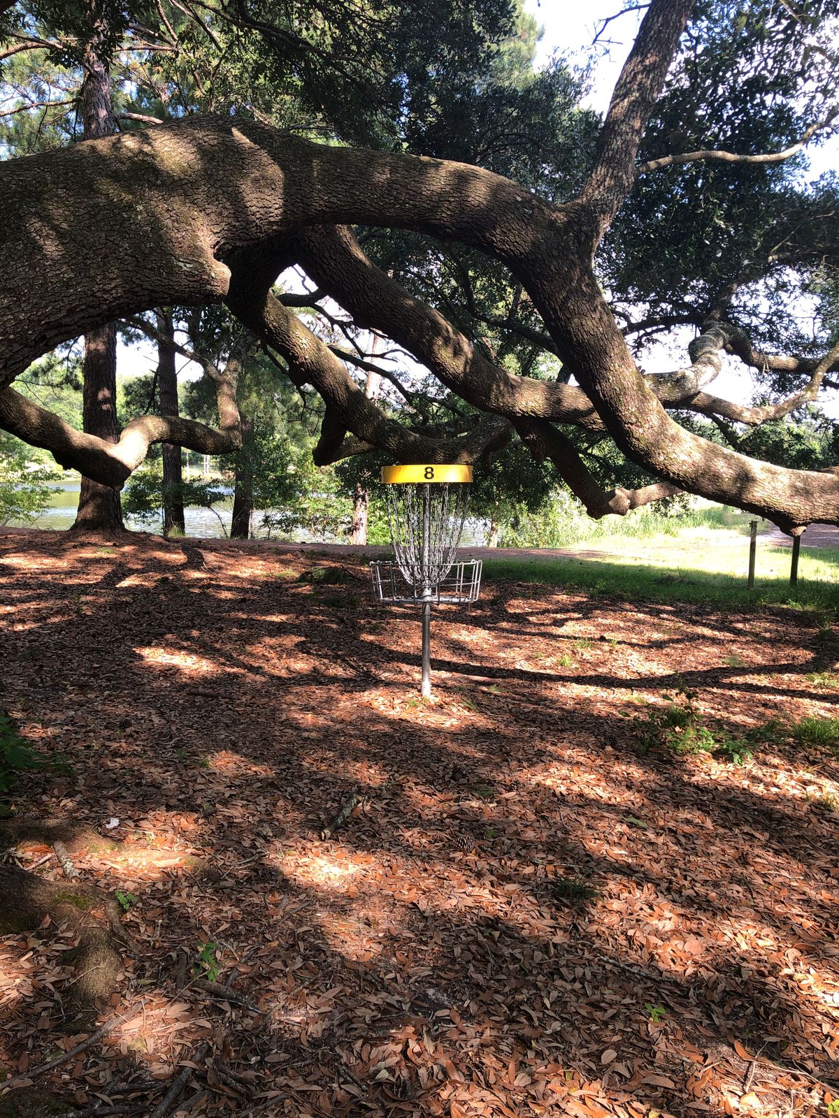 Great pin, great hole
