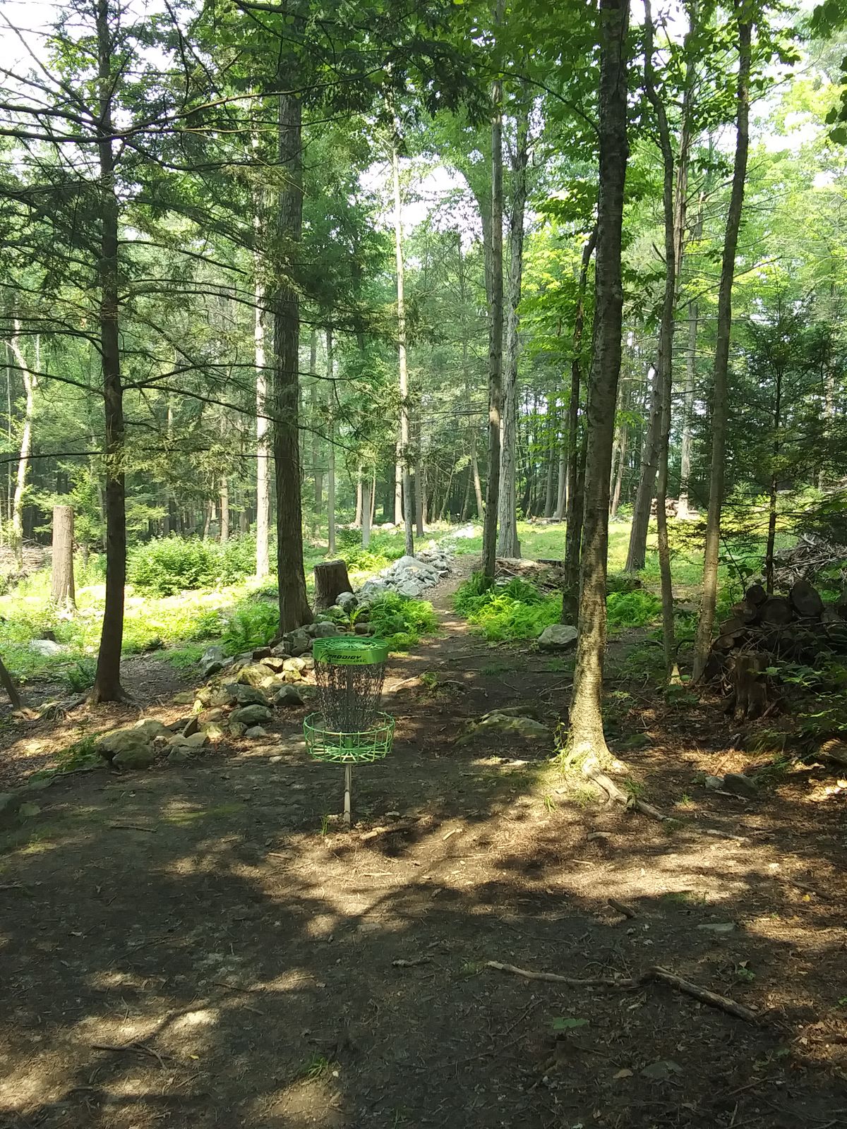 Hole 3 basket, looking back at fairway.
