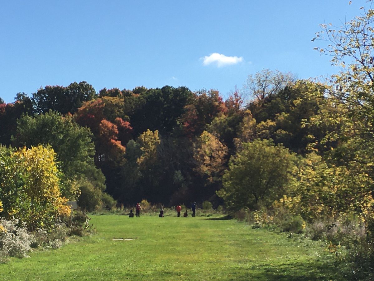 Reverse back up fairway on 11.