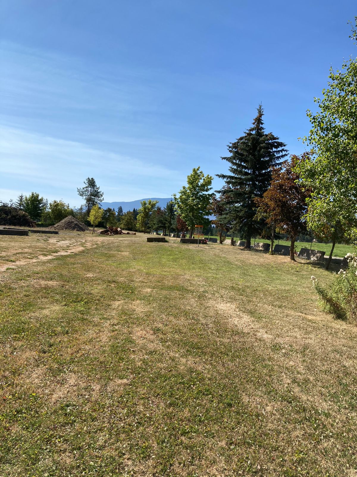 Hole 4 basket
