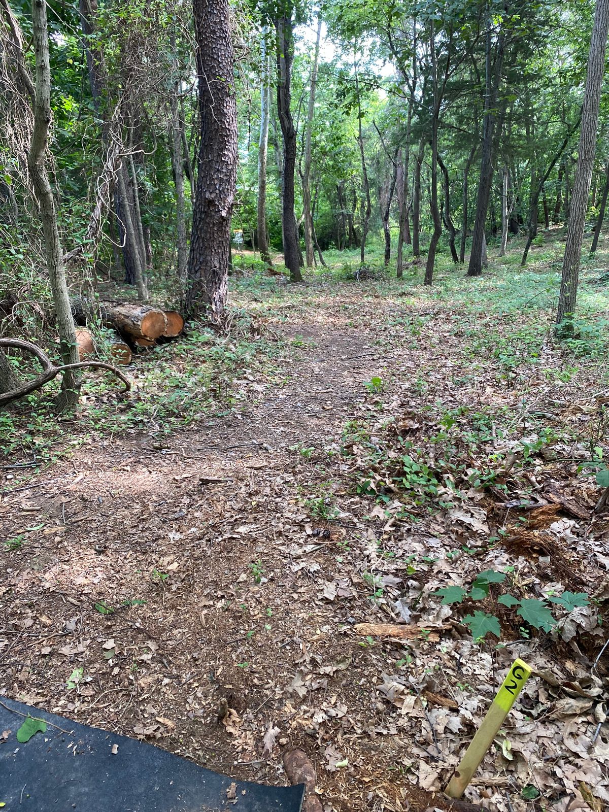 Grist Mill Hole 2
