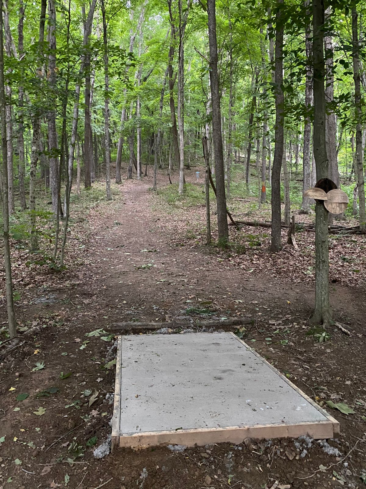 Hole 7 (Concrete tee)
