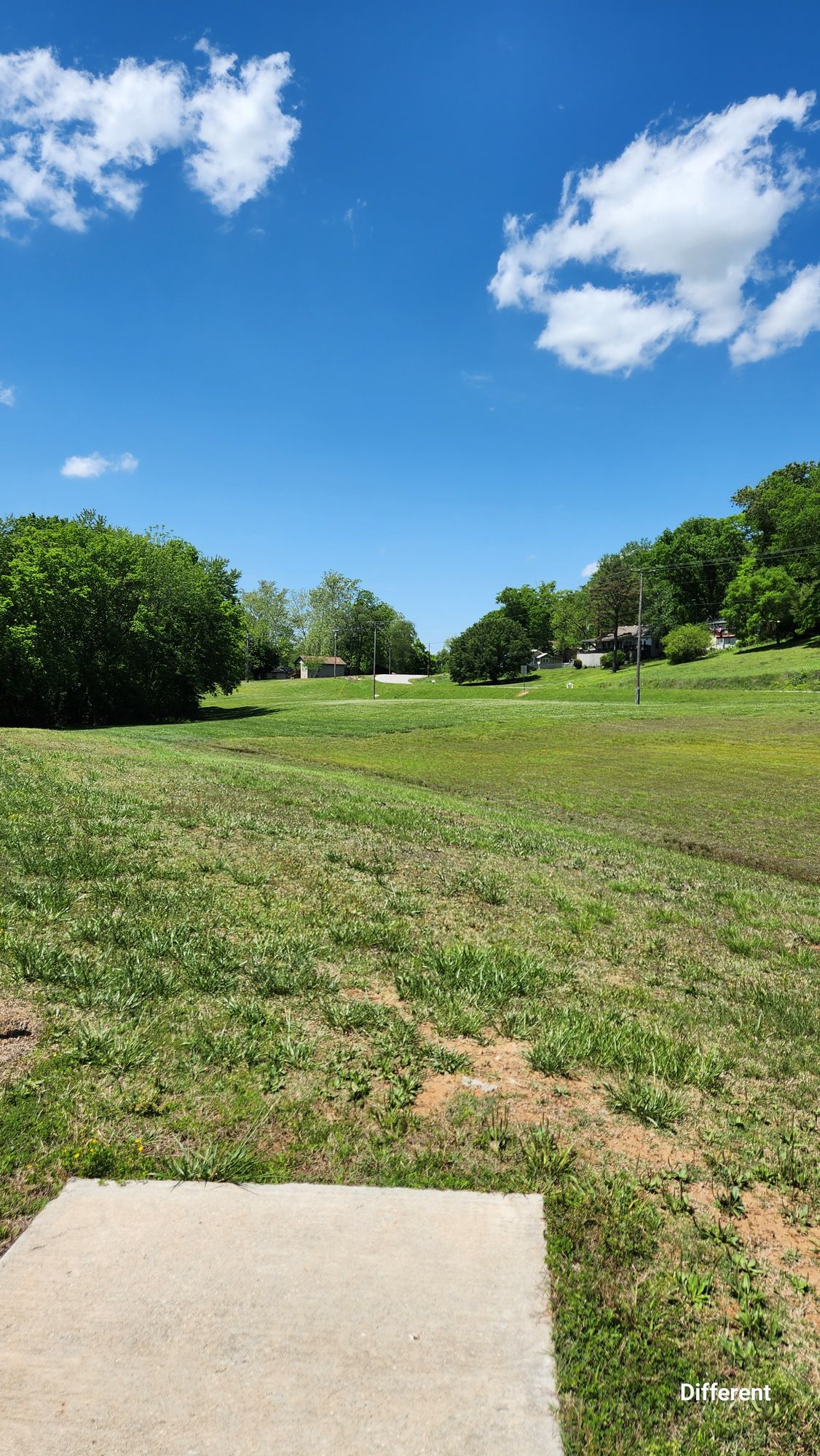 Hole 3, blind from tee, basket tucked in behind the tree line.