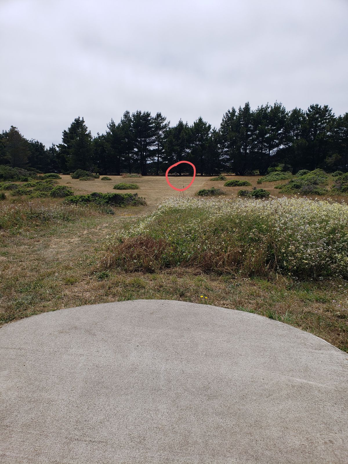 Hole 7 teepad