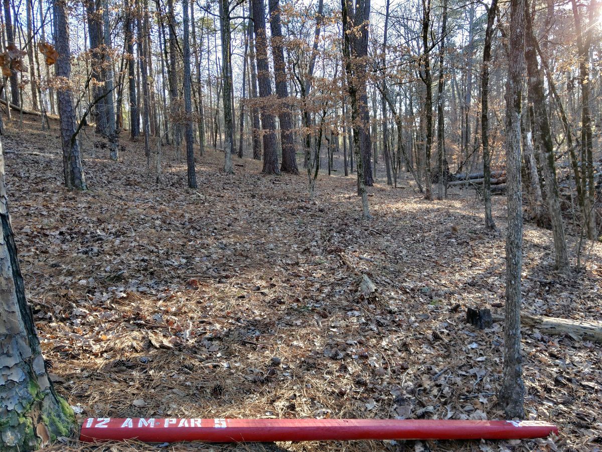 Hole 12 Amateur Tee